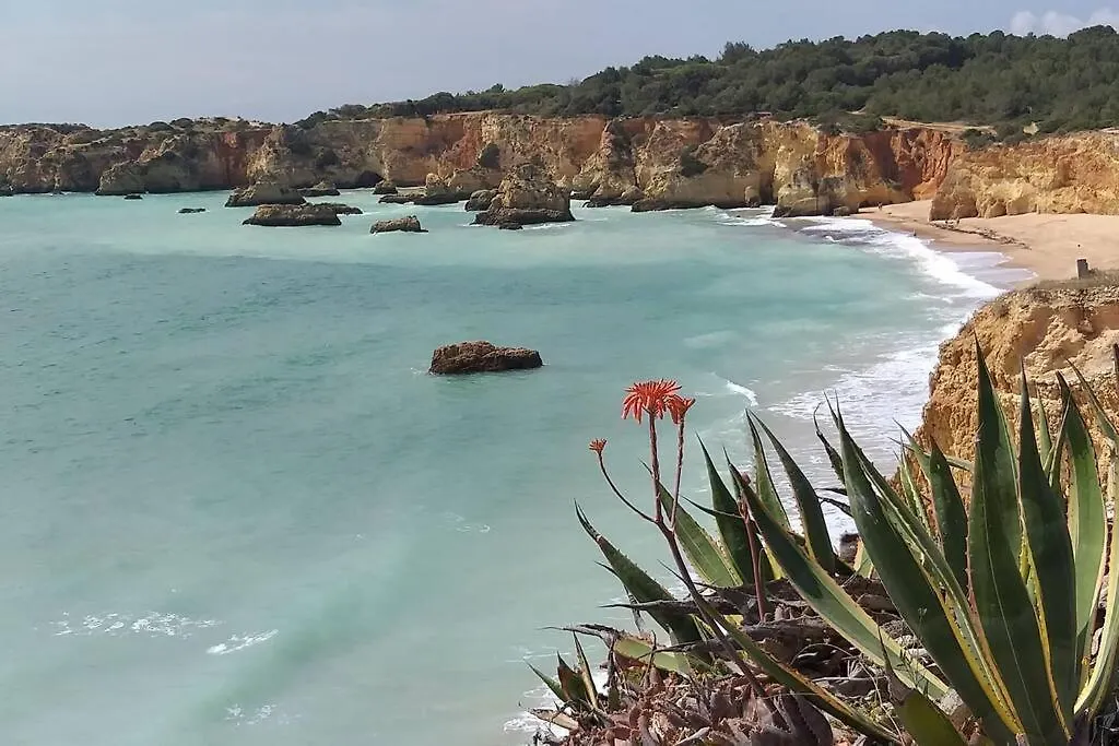 Sea & Sunset - Cozy Apartment. Portimao Portugal